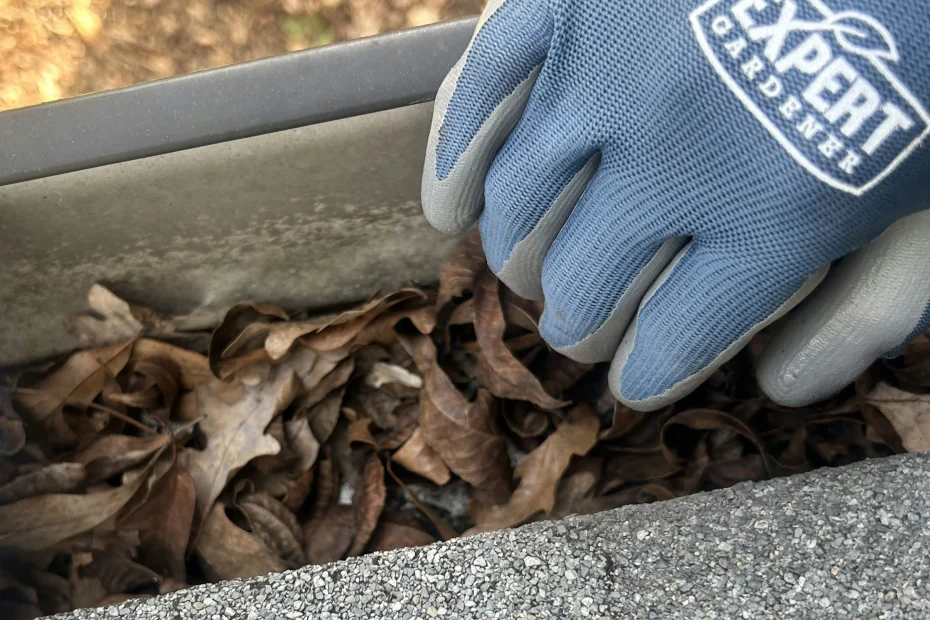 Gutter Cleaning Millersville, TN